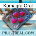 Kamagra Oral 13